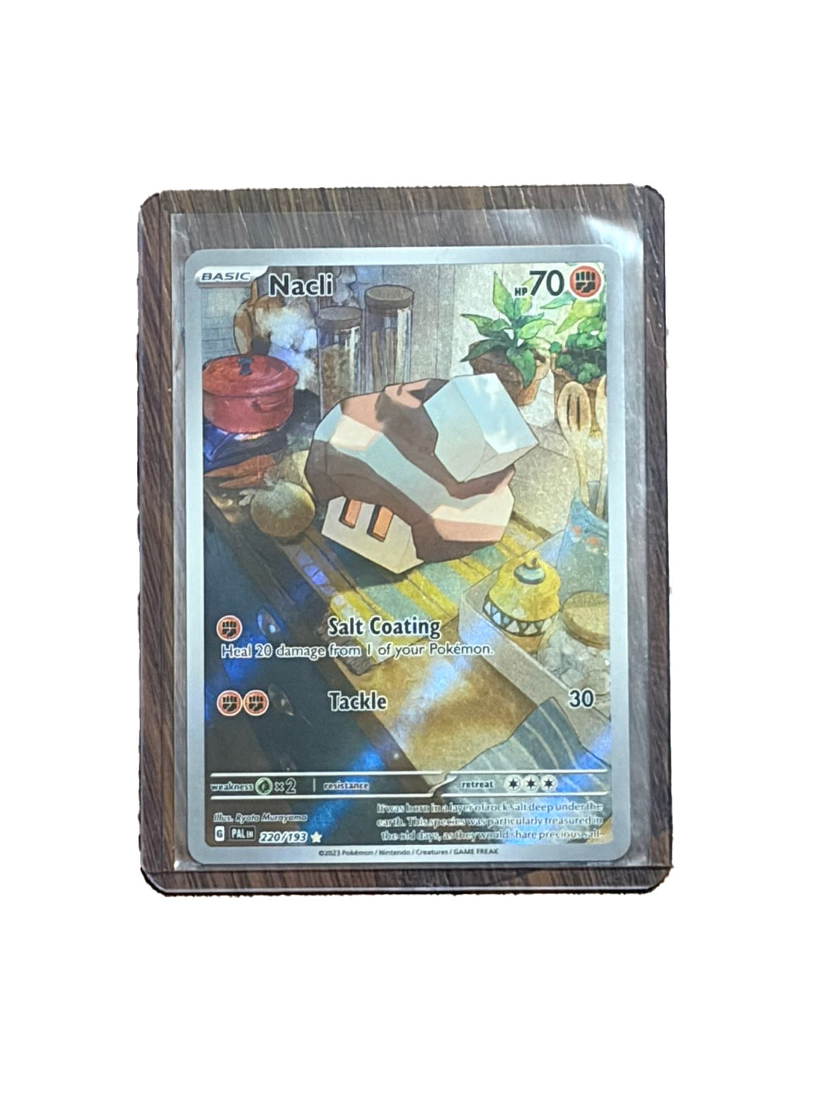 Nacli Pokemon Single